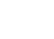 The Spotless Logo-white